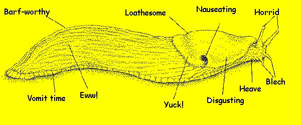 SLUG