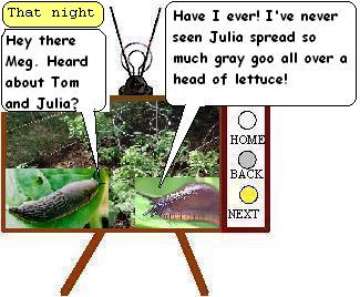 SLUGSTORY17