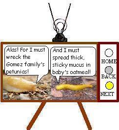 SLUGSTORY3