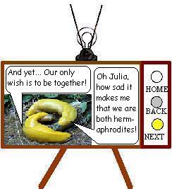 SLUGSTORY4