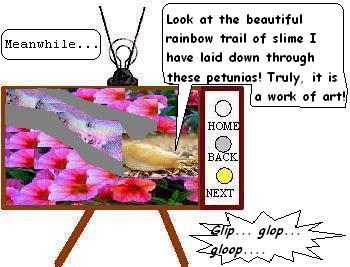 SLUGSTORY8