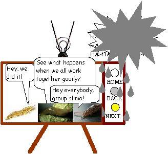 SLUGTV10