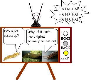 SLUGTV6