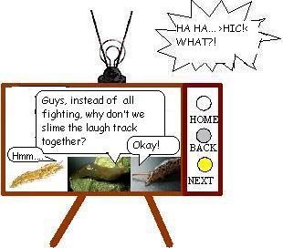 SLUGTV8