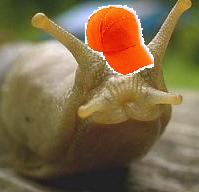 SSSSLIMEBAG