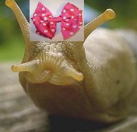 SSSSNOTOSSSA